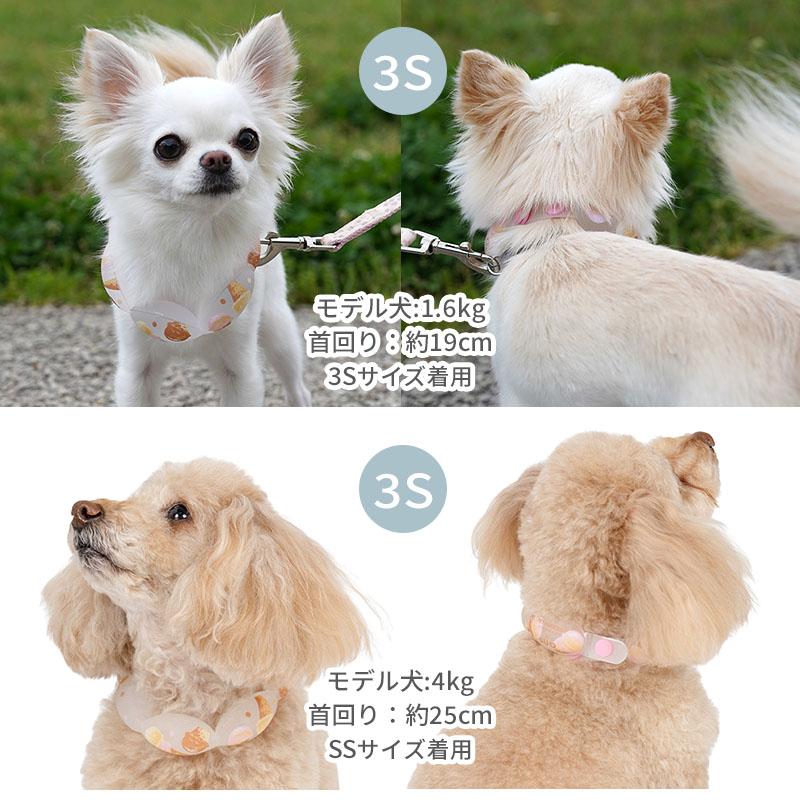 PET PARADISE（ペットパラダイス） SUO 犬 夏 18℃ クールリング