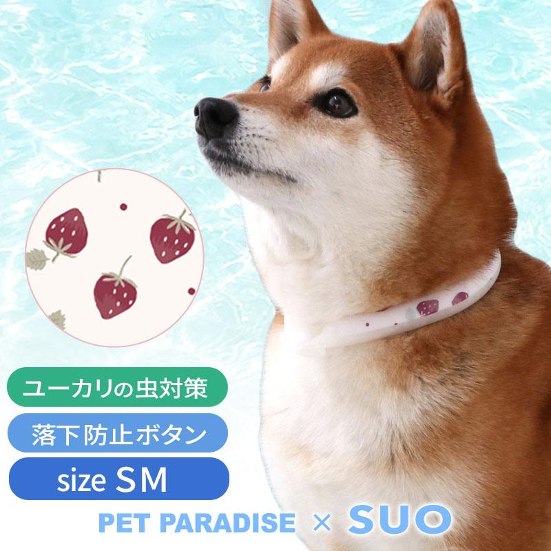 PET PARADISE（ペットパラダイス） サマーセール クールリング 28