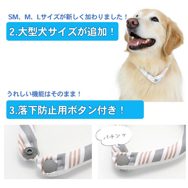 PET PARADISE クールリング suo 犬 ネック ボタン付き