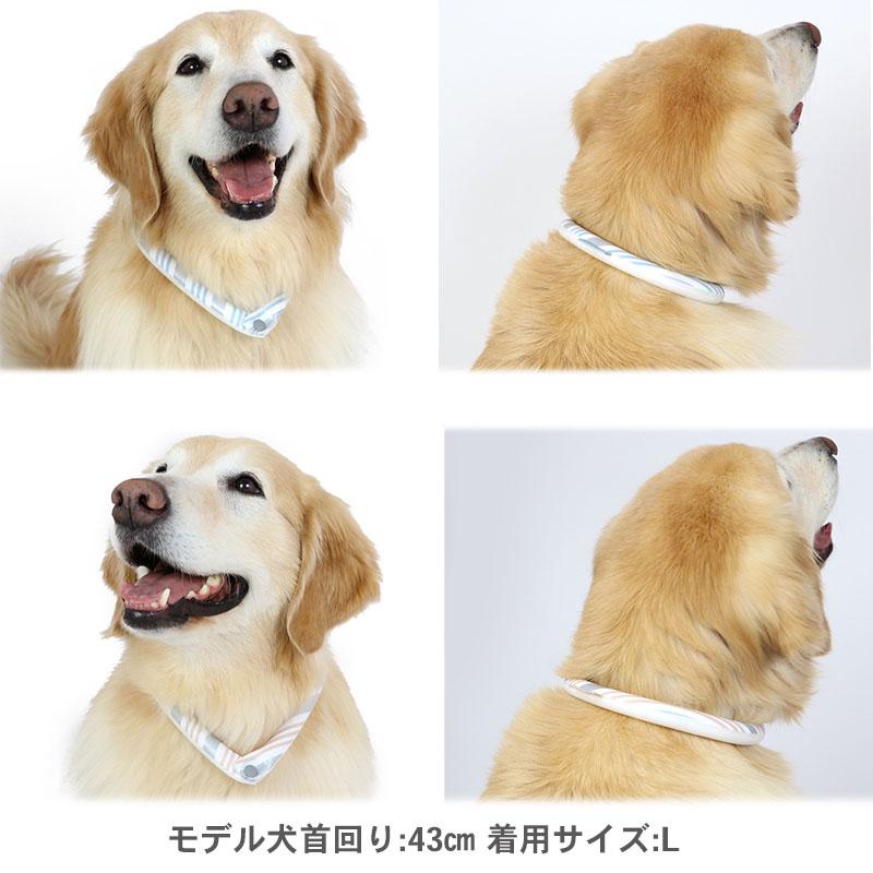 PET PARADISE クールリング suo 犬 ネック ボタン付き リフレクター