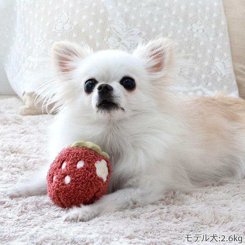 PET PARADISE（ペットパラダイス） 犬 おもちゃ 苺 ふわころ レッド