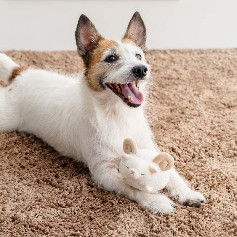 小夜様、超小型犬用 干支の被り物 、未年 PET PARADISE（ペットパラダイス） 干支 正月 犬 おもちゃ ホワイト