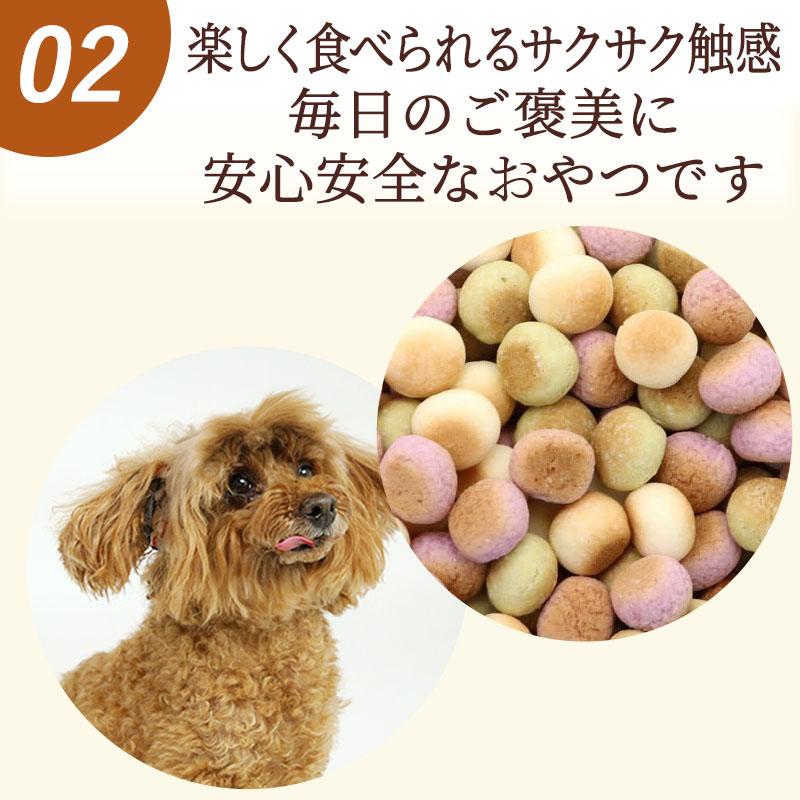 PET PARADISE（ペットパラダイス） 犬 おやつ 国産 野菜ミックス