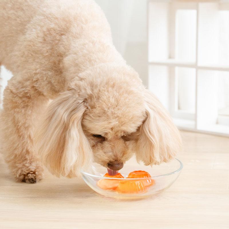 PET PARADISE（ペットパラダイス） 犬 おやつ 国産 5種の野菜