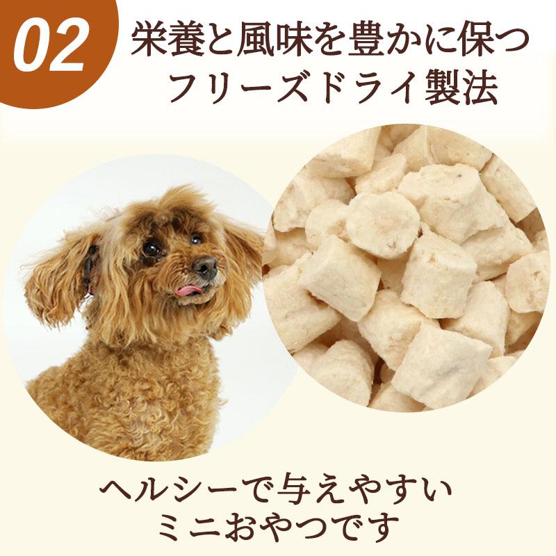 PET PARADISE（ペットパラダイス） ポイント5倍 犬 おやつ 無添加 国産
