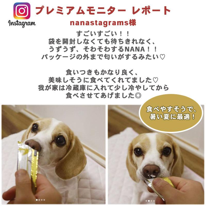 ペット おやつ ペースト ピューレ ジュレ 犬 猫 無添加 国産 低カロリー 鶏 グレインフリー リアルフード スティック プレーン 10g 8本 メール便可 ペットパラダイス 通販 Yahoo ショッピング