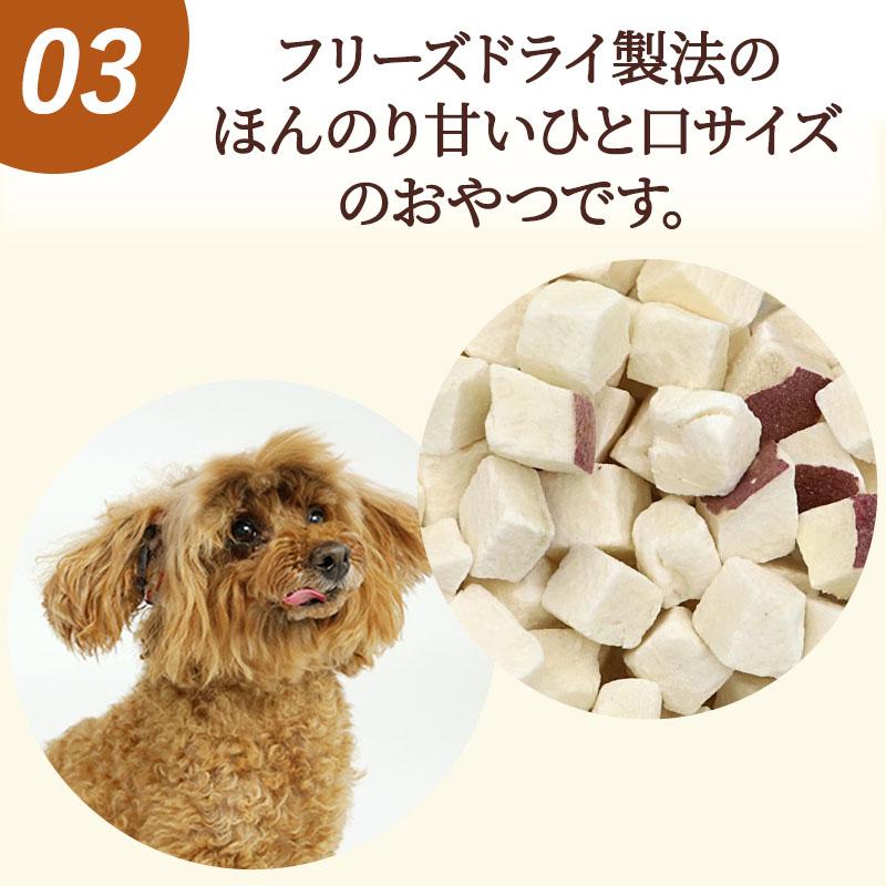 らら　犬の無添加おやつ PETKISS ワンちゃんの歯みがきおやつ 無添加ササミスティック プレーン