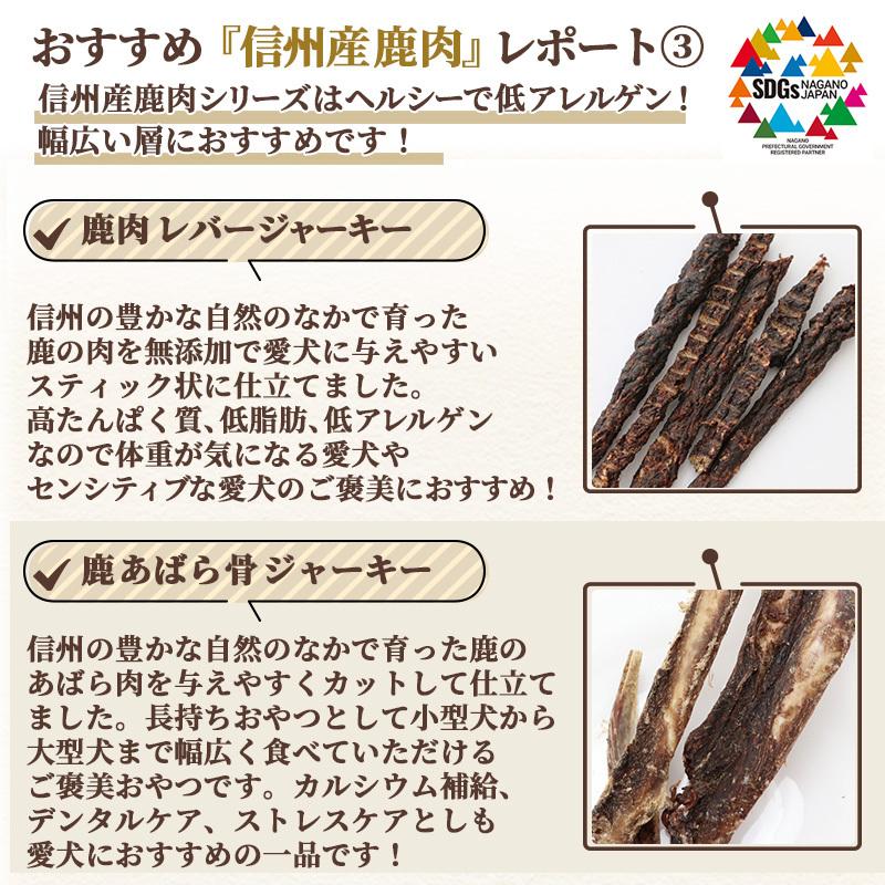 犬 猫 おやつ 無添加 国産 信州産 鹿肉 スティックジャーキー 40g | 鹿肉 高たんぱく質 低脂肪 低アレルゲン シニア 高齢犬 ペットおやつ | PET PARADISE | 10