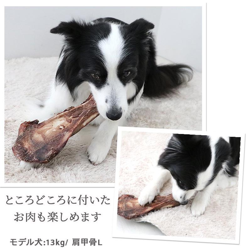 PET PARADISE（ペットパラダイス） 鹿骨 数量限定 犬 おやつ 純国産 鹿