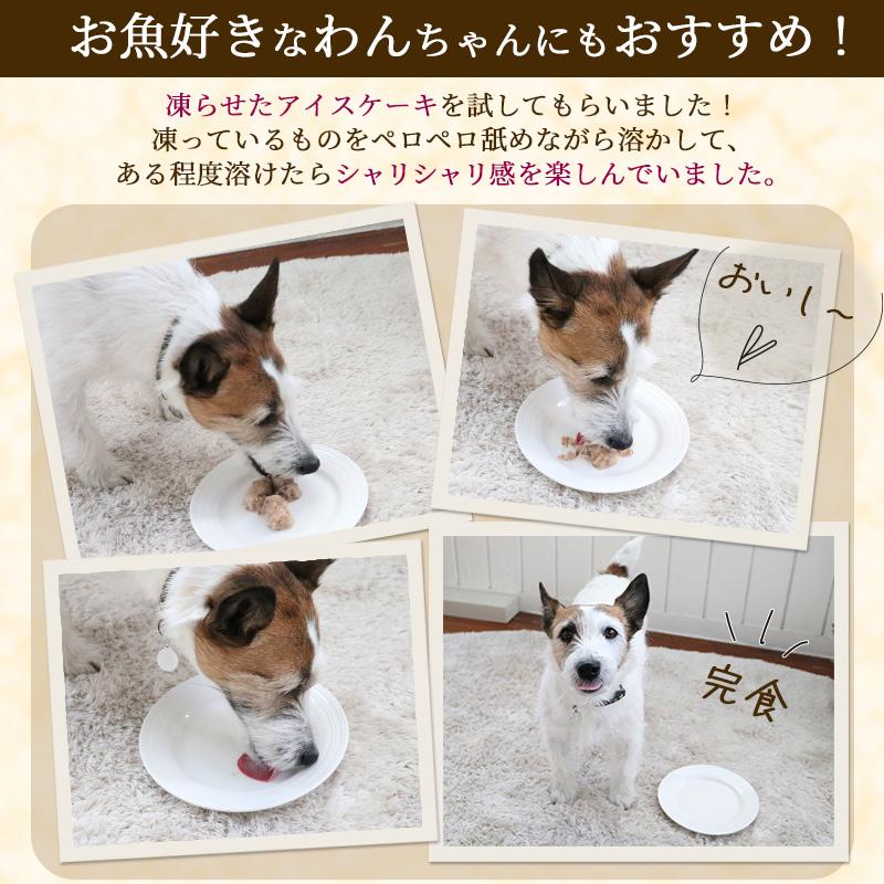 PET PARADISE（ペットパラダイス） 猫缶 キャットフード ウェット