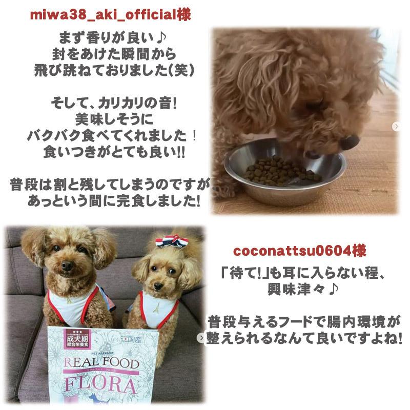 ドッグフード 国産 犬 ドライフード ペットフード リアルフードフローラ 1kg (500g×2袋） | アレルギー対応 乳酸菌 小粒 シニア｜pet-para｜17