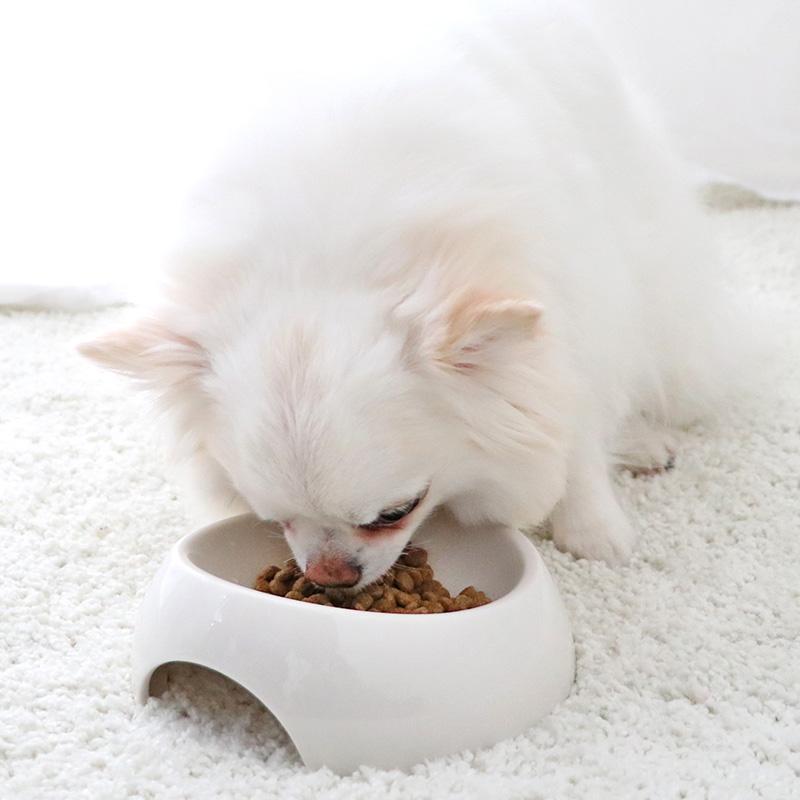 PET PARADISE（ペットパラダイス） ドッグフード 国産 犬 ドライフード