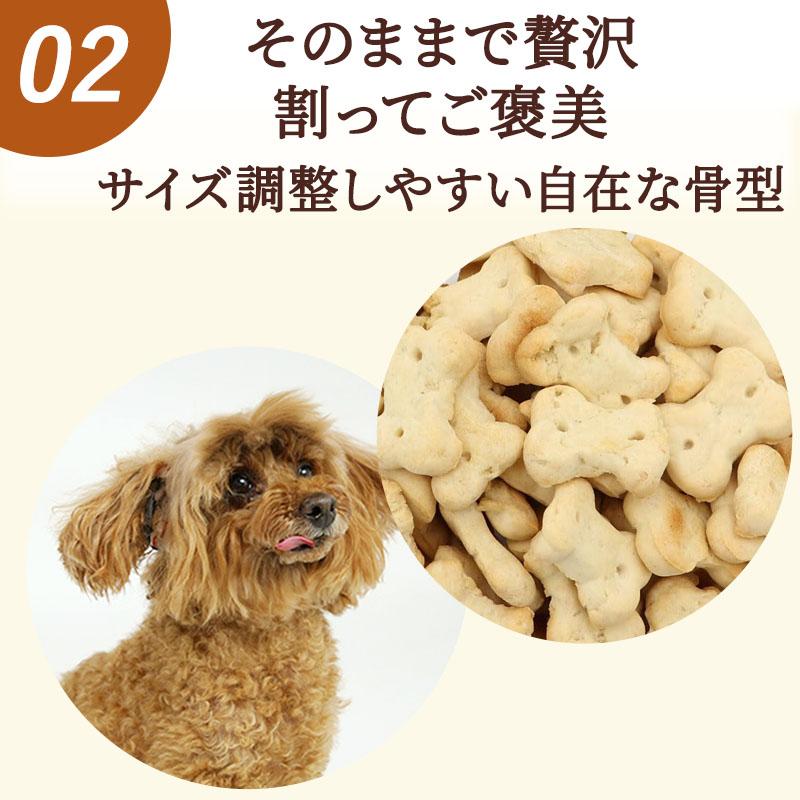 PET PARADISE（ペットパラダイス） 犬 おやつ 国産 愛犬用 りんご
