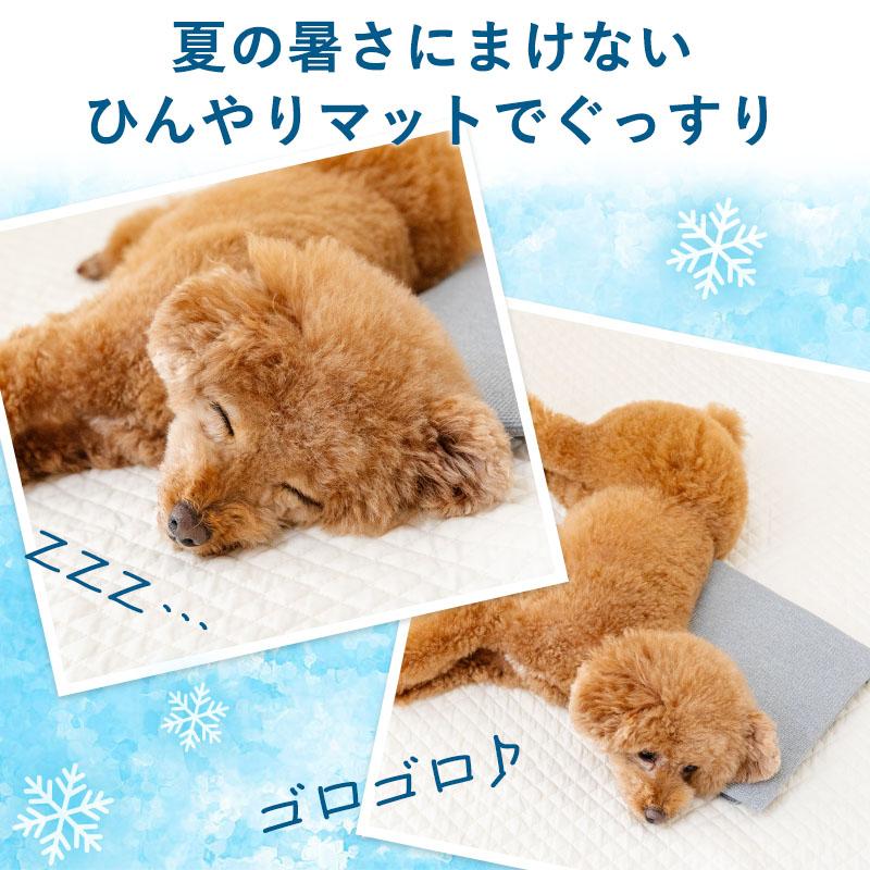 PET PARADISE（ペットパラダイス） 【P10倍】犬 ペット コンパクト