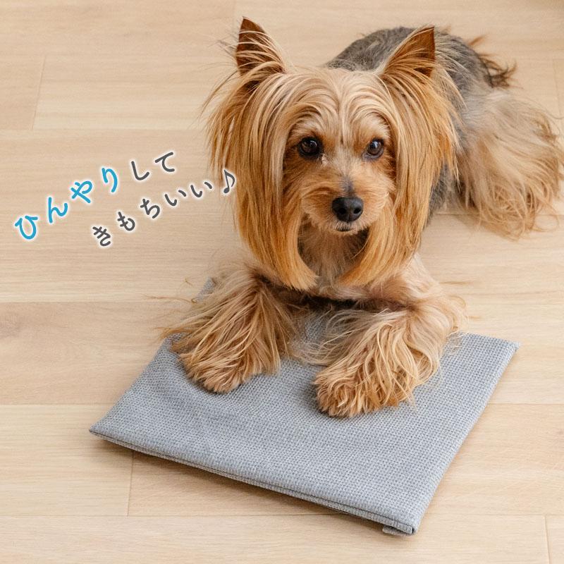 PET PARADISE（ペットパラダイス） ポイント10倍 犬 ペット コンパクト