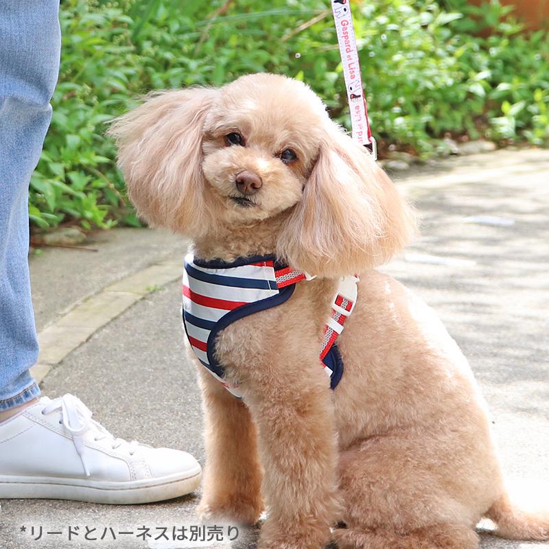 PET PARADISE（ペットパラダイス） 爆買SALE 犬 ハーネス リサと