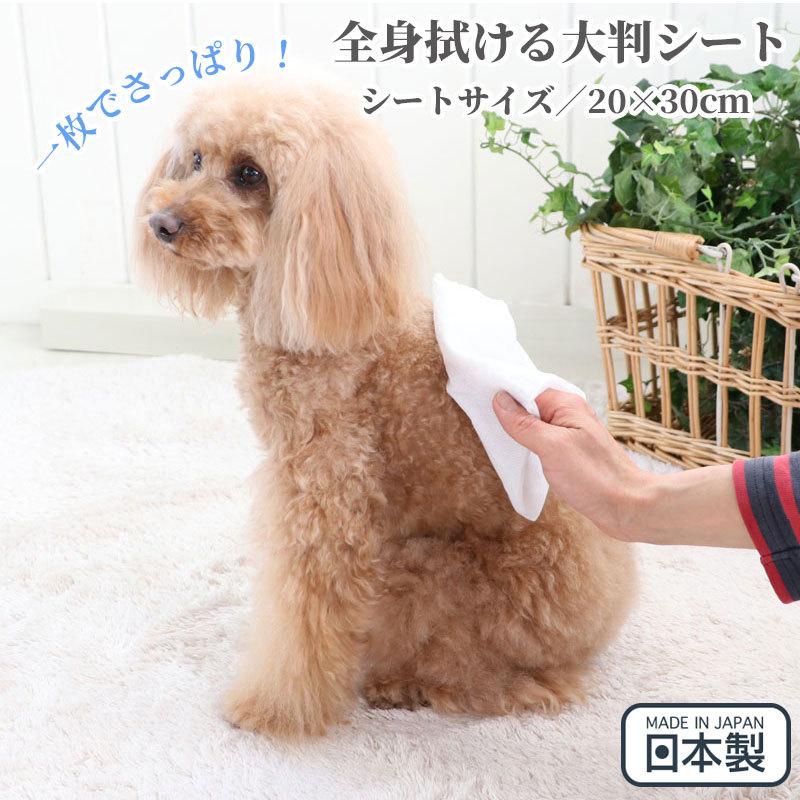 PET PARADISE（ペットパラダイス） 犬 暑さ対策グッズ 散歩 猫 外 体