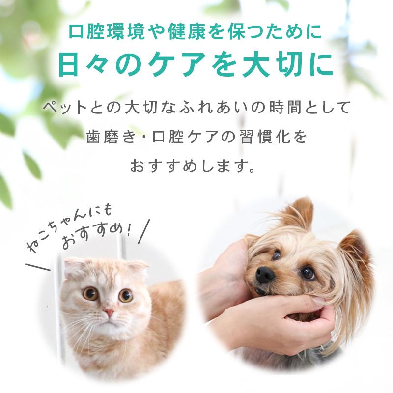PET PARADISE（ペットパラダイス） 犬 歯磨き デンタル ブラッシング
