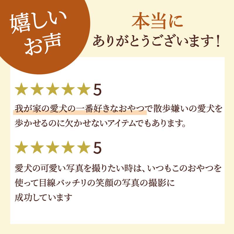 新商品！SALE！馬肉薄切り1kg 大袋 犬のおやつ 無添加 PET PARADISE（ペットパラダイス） 犬 猫 おやつ 馬肉 無添加 国産