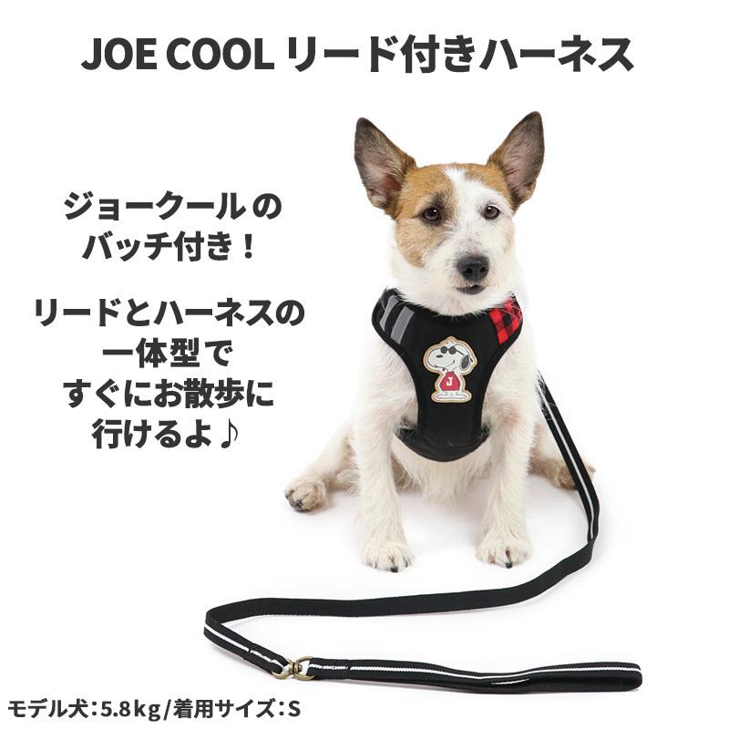 女性に人気 犬 ハーネス リード 小型犬 ３ｓ おしゃれ ブランド スヌーピー 犬用ハーネス 一体型 簡単装着 猫 ジョークール Riosmauricio Com