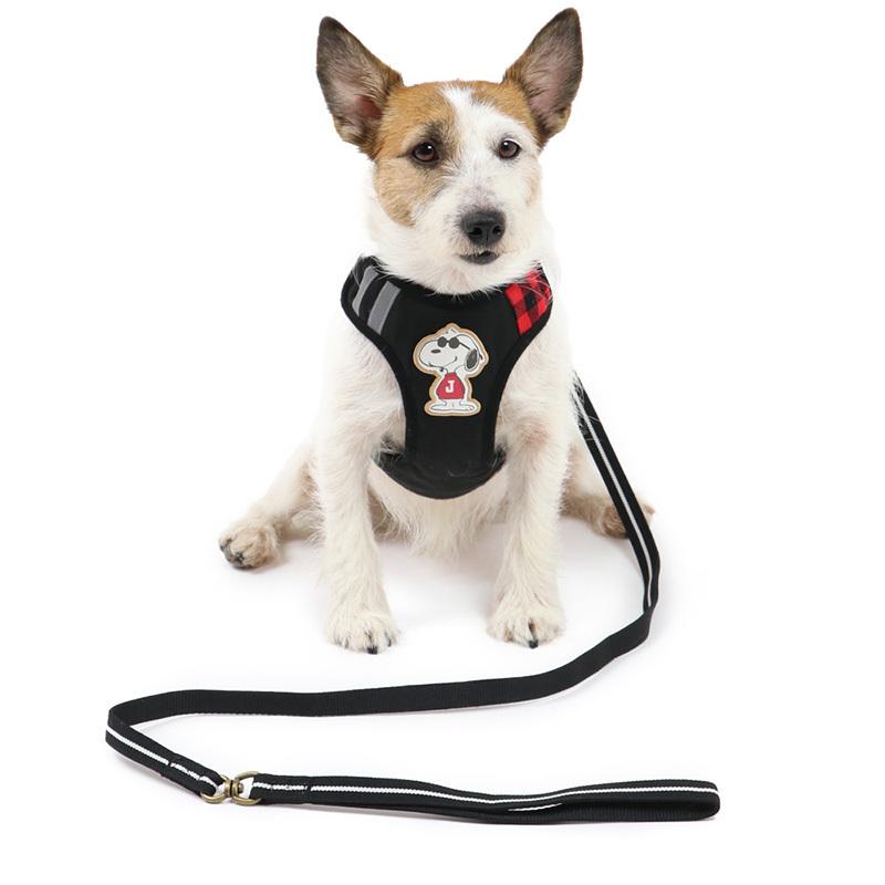犬 ハーネス リード 小型犬 ｓｓ おしゃれ ブランド スヌーピー おしゃれ ブランド 犬用ハーネス 一体型 簡単装着 猫 ジョークール ハーネス リード ペットパラダイス 通販 Yahoo ショッピング