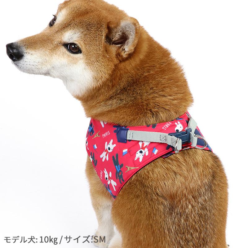 ペットパラダイス リサとガスパール 3sサイズ 2枚組 ペットパラダイス