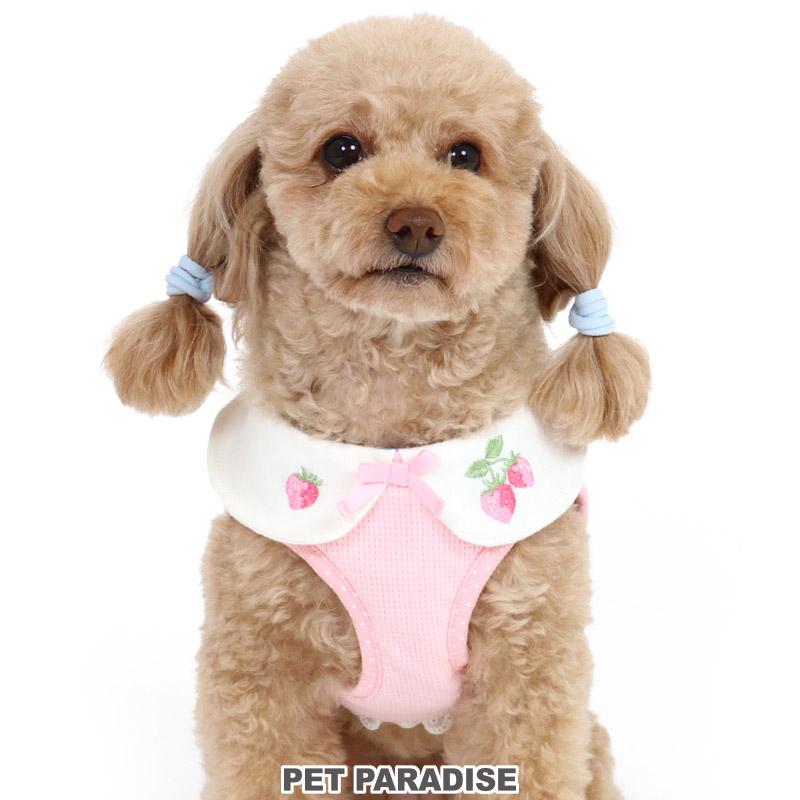 ペットパラダイス ハーネス服セット ペットパラダイス くまちゃん アウターハーネス 小型犬 / PET