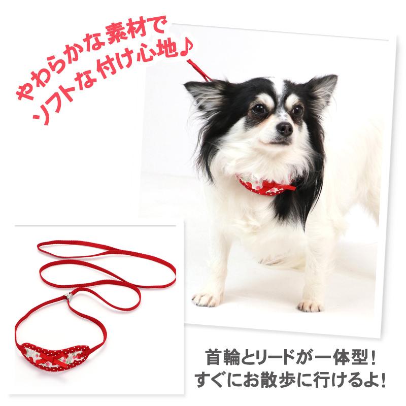 新色追加して再販 犬 猫 首輪 おしゃれ ブランド 小型犬 ４ｓ ｓｓ 犬用 ペット リード付き 苺 迷彩 リード付き首輪 Riosmauricio Com