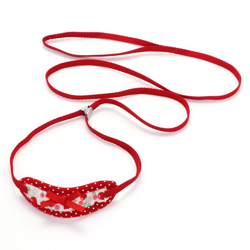 新色追加して再販 犬 猫 首輪 おしゃれ ブランド 小型犬 ４ｓ ｓｓ 犬用 ペット リード付き 苺 迷彩 リード付き首輪 Riosmauricio Com