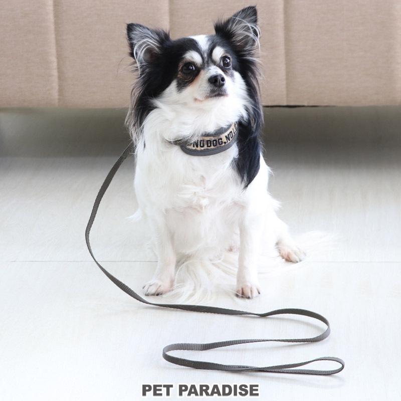 新色追加して再販 犬 猫 首輪 おしゃれ ブランド 小型犬 ４ｓ ｓｓ 犬用 ペット リード付き 苺 迷彩 リード付き首輪 Riosmauricio Com