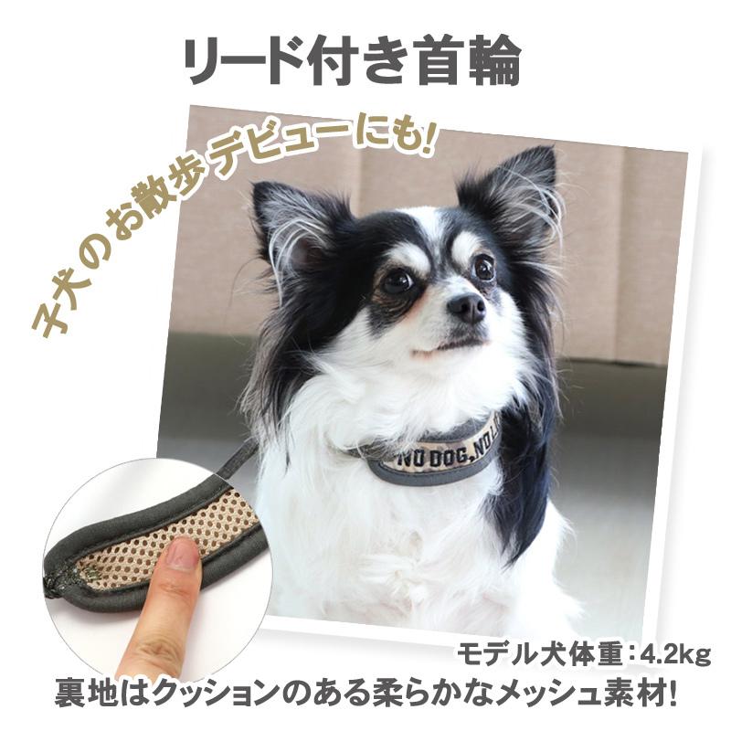 新色追加して再販 犬 猫 首輪 おしゃれ ブランド 小型犬 ４ｓ ｓｓ 犬用 ペット リード付き 苺 迷彩 リード付き首輪 Riosmauricio Com