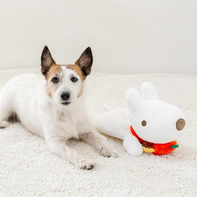 PET PARADISE（ペットパラダイス） リサとガスパール 犬 おもちゃ リサ