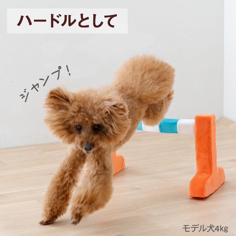 PET PARADISE（ペットパラダイス） 犬 おもちゃ わくわく ハードル