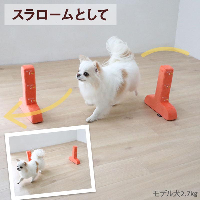 PET PARADISE（ペットパラダイス） 犬 おもちゃ わくわく ハードル