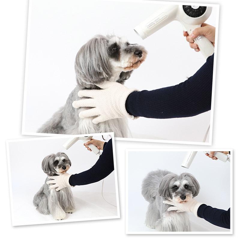 国内初の直営店 犬用 タオル 猫 ペット用 吸水 速乾 手袋 シャワー シャンプー ドライヤー時間短縮 クィックドライ メール便可 Discoversvg Com