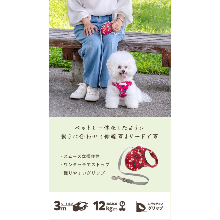 PET PARADISE（ペットパラダイス） リサとガスパール 犬 伸縮 リード