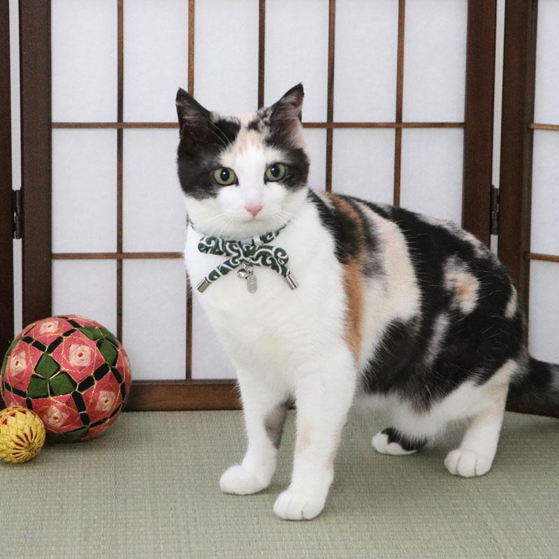 PET PARADISE（ペットパラダイス） 猫 秋 ねこ むすび首輪 バックル 鈴