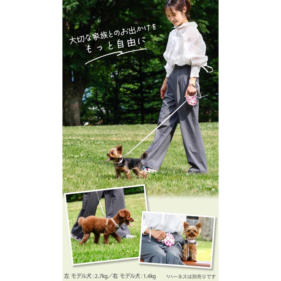 PET PARADISE（ペットパラダイス） P10倍 犬 リード 伸縮リード 伸びる