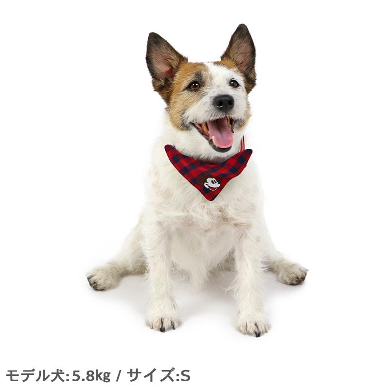 Disney（ディズニー） P5倍 犬 首輪 おしゃれ ブランド 赤 レッド 小型