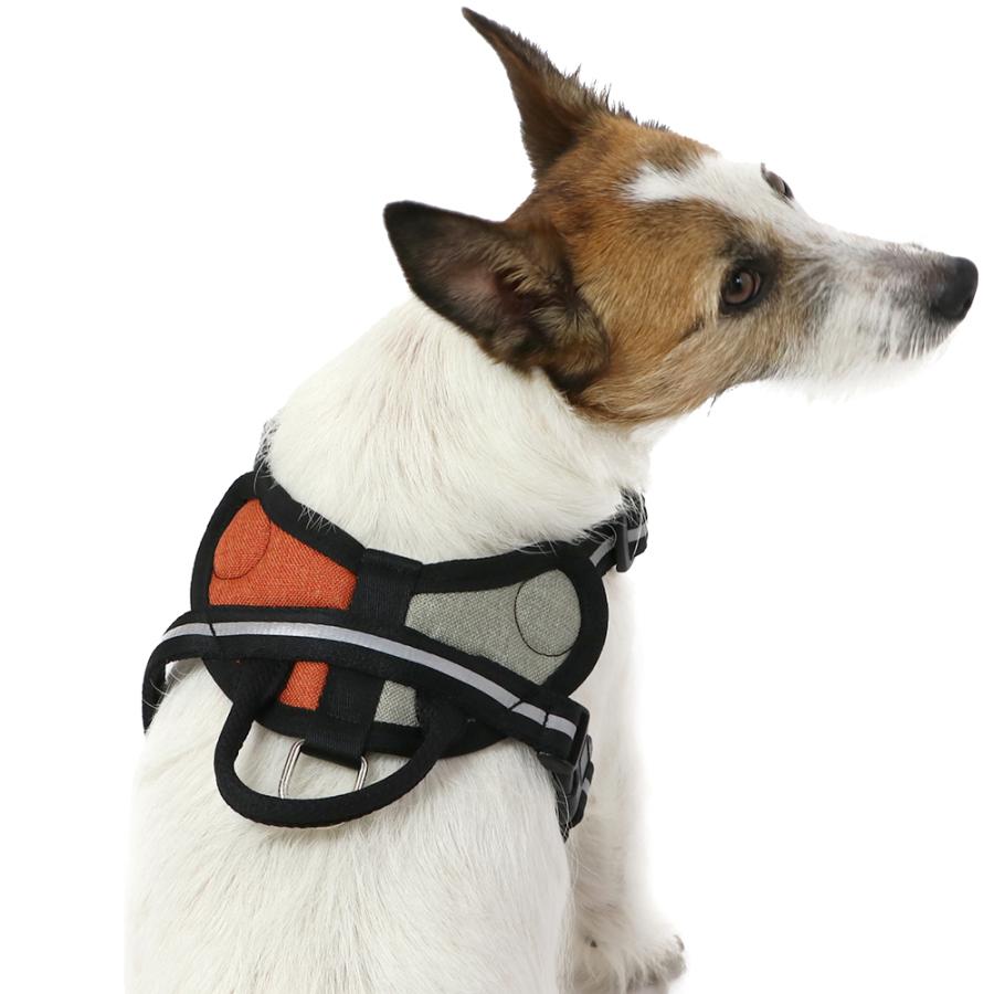 PET PARADISE（ペットパラダイス） ハーネス 犬 おしゃれ 小型犬 〔S