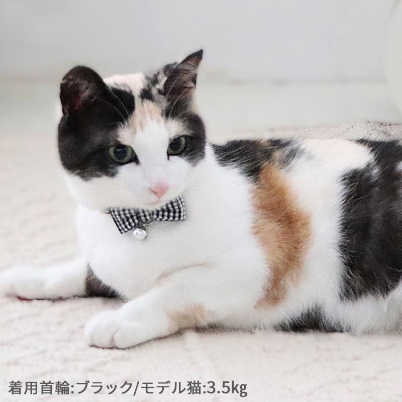 PET PARADISE 【BF限定】 猫 首輪 ギンガムチェック 小 中 レッド