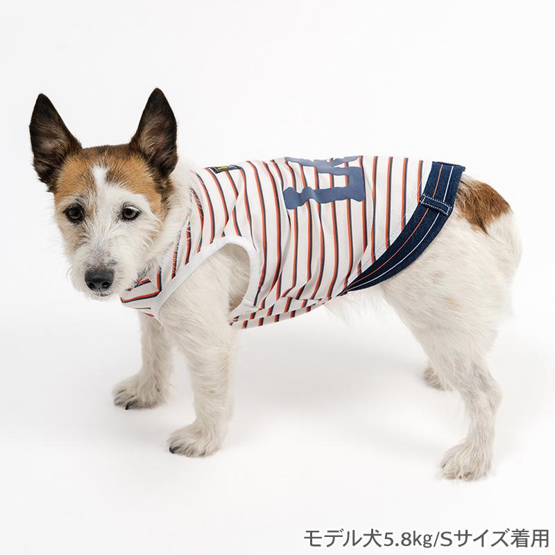 Lee（リー） ポイント5倍 犬 服 夏 ボーダー タンクトップ 小型犬 | 袖