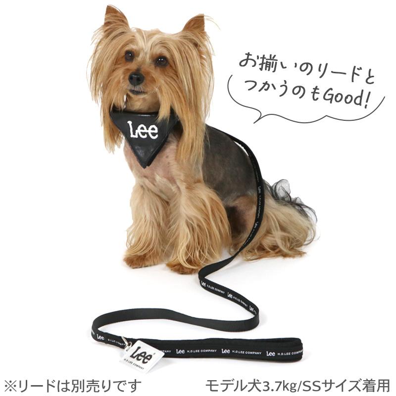 Lee（リー） P5倍 犬 首輪 小型犬 3S ブラック | おでかけ お出かけ