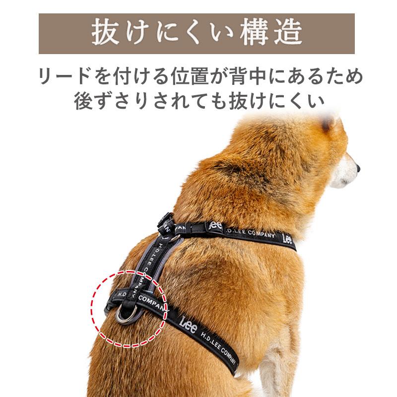首輪・ハーネス・リード lihn0629 Lee（リー） P5倍 犬 ハーネス 中型犬 SM ブラック | おでかけ