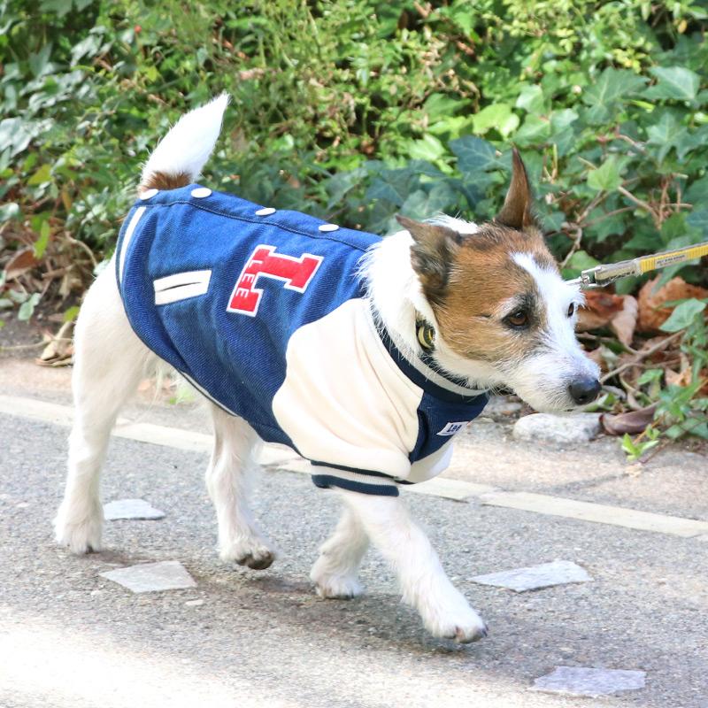 Lee（リー） 犬 服 春夏 犬の服 冬 スタジャン 〔小型犬〕 | 猫 冬服