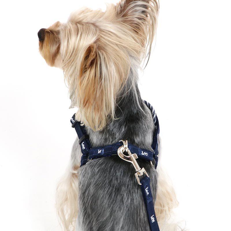 犬 ハーネス リード 小型犬 ｓｓ ｌｅｅ リー リード付き 一体型 ブランド おしゃれ リード リードハーネス 簡単装着 猫 ヒッコリー ハーネス リード ハーネスリード Taysezco Com