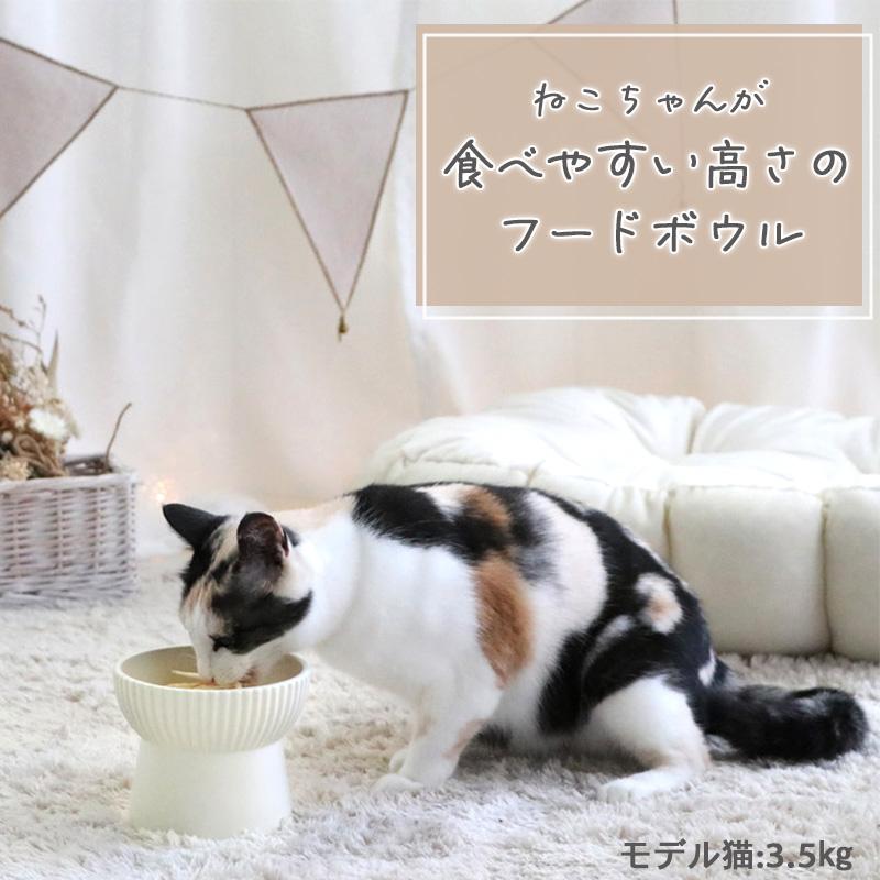 PET PARADISE 受注生産| 猫 食器 陶器 食器台 名前入り おしゃれ 名 