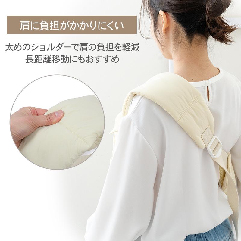 Disney（ディズニー） ミッキーマウス プルート 犬 キャリーバッグ