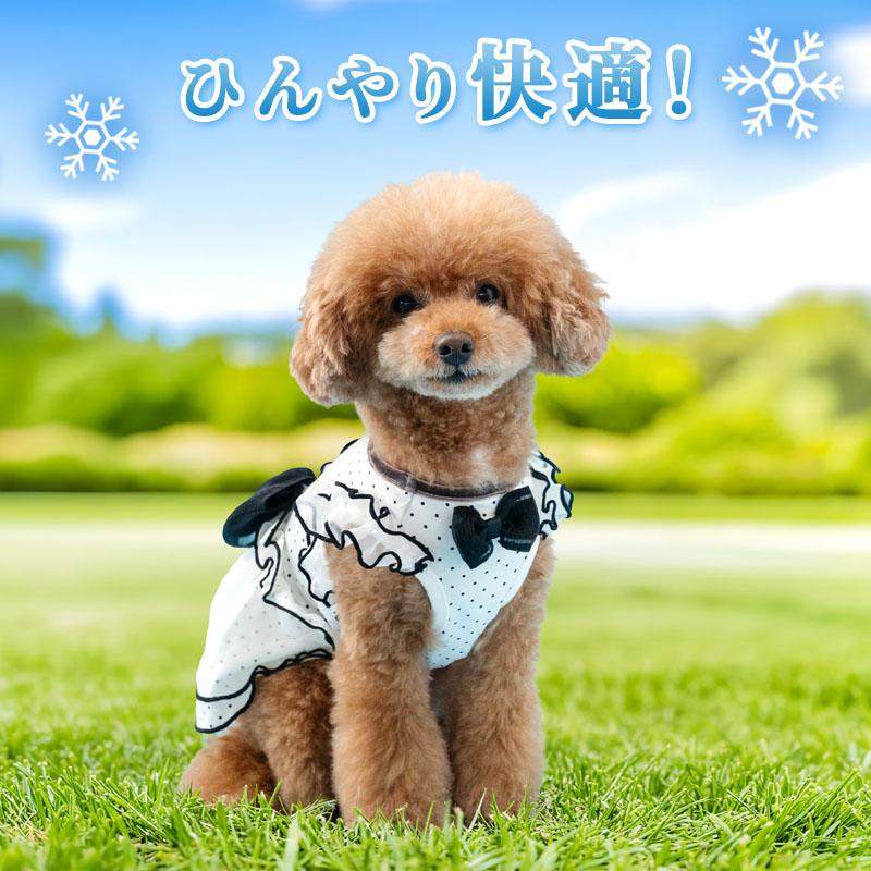 Disney（ディズニー） ミニーマウス 犬 服 夏 ドット柄 クール