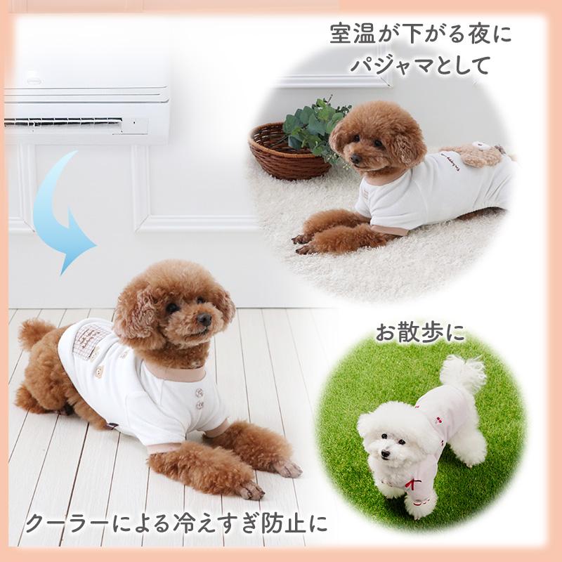PET PARADISE（ペットパラダイス） 犬 服 春 くまちゃん サーモキープ